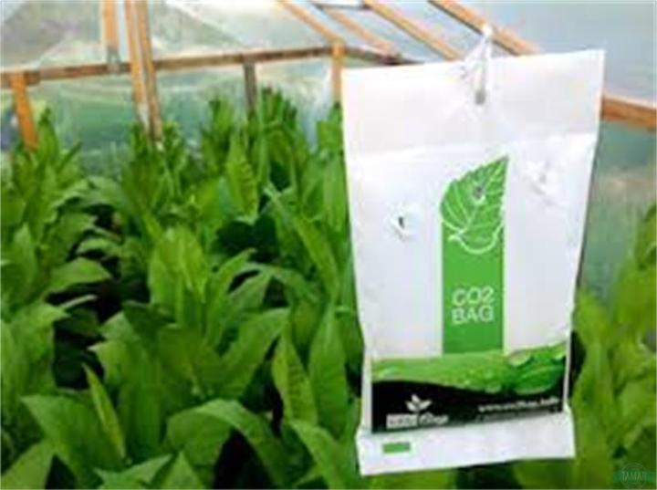 Actual product image CO2 Bag The Bag Grower