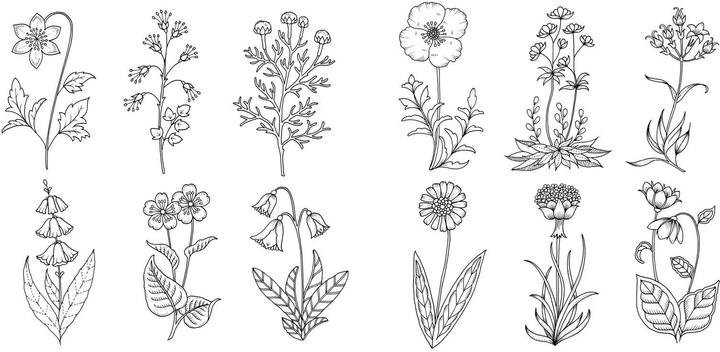 Produktbild Wundervolle Wildblumen