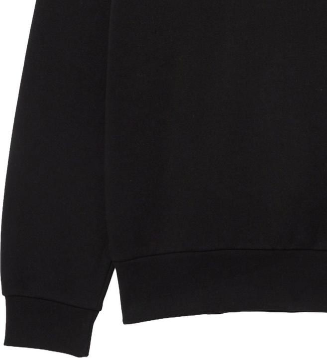 Actual product image Lacoste Jumper Sportswear (M)