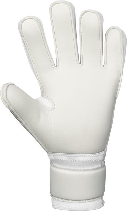 Produktbild JAKO TW-Handschuh Animal Basic RC (7)