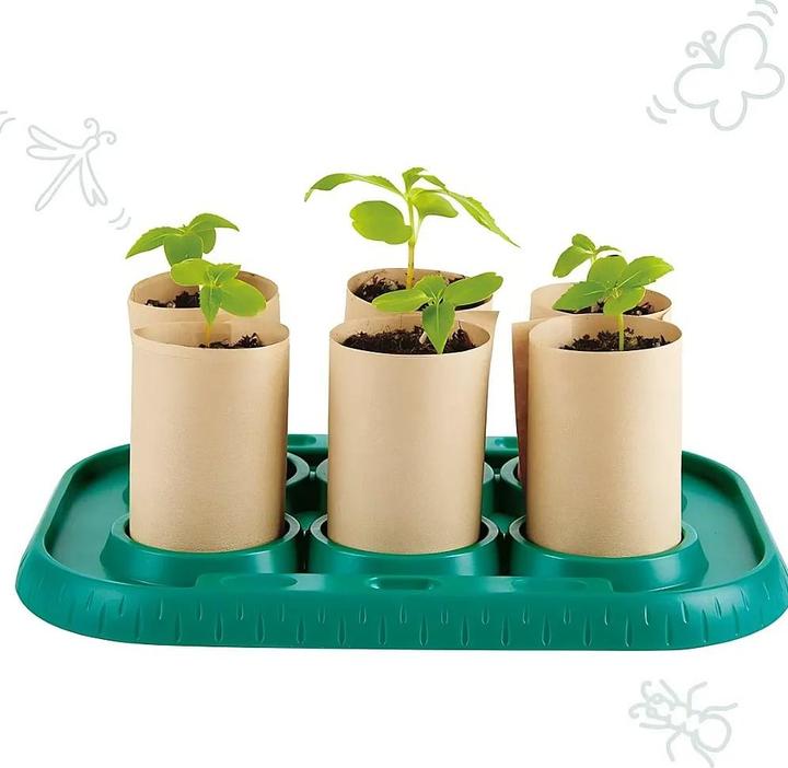 Image du produit Hape Serre