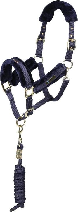 Image du produit Arma - Licol et longe