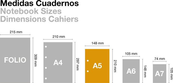 Actual product image Miquelrius Reporter notebook A5 (A5, Dotted)