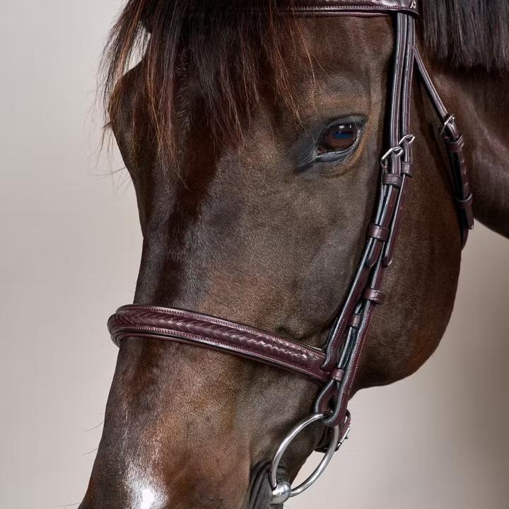 Image du produit Dy'on New English