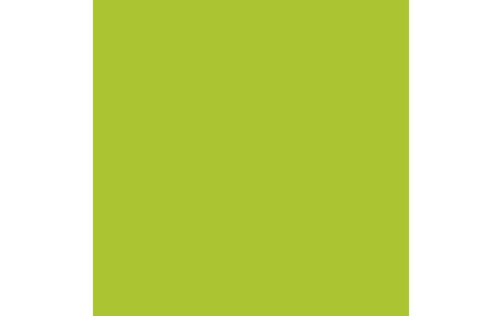 Produktbild Amsterdam Acrylfarbe Standard Series 243 (Grüngelb, 120 ml)