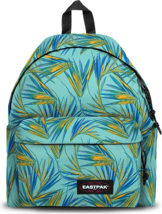brize palm aqua