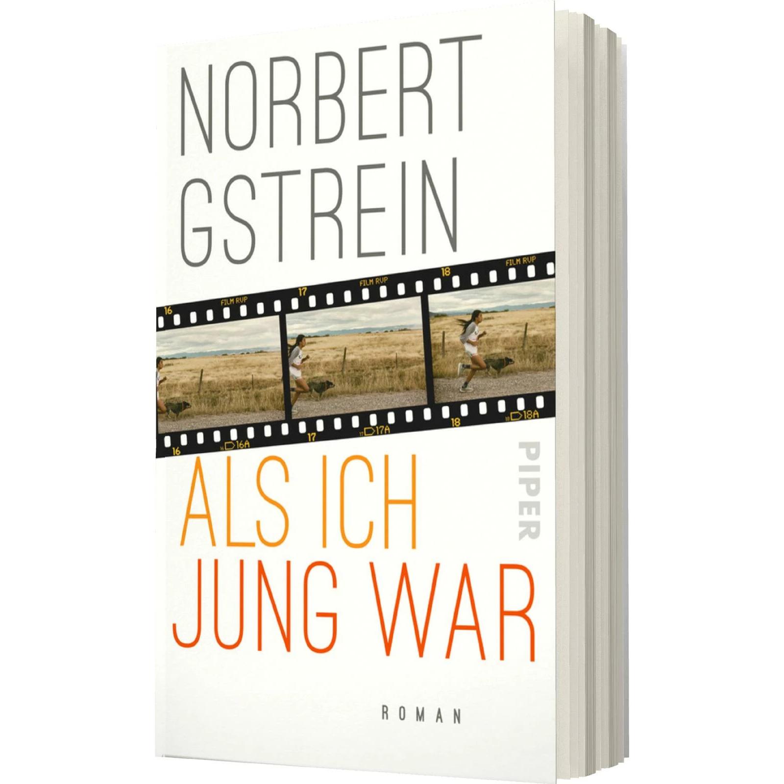 Als ich jung war, Belletristik von Norbert Gstrein