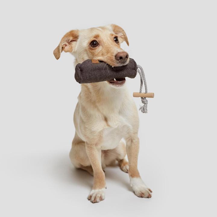 Actual product image Cloud 7 Lining Dummy Heather Brown (XS, Dog)