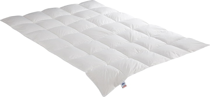 Irisette Edda medium down quilt