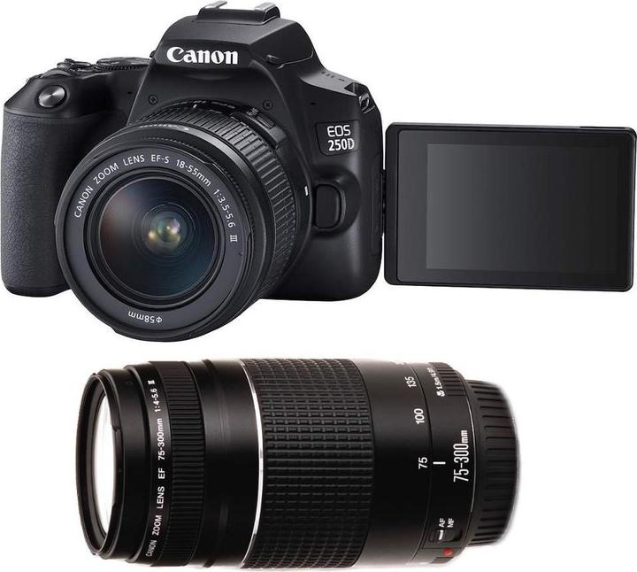 Actual product image Canon EOS 250D Kit (24.10 Mpx, APS-C / DX)