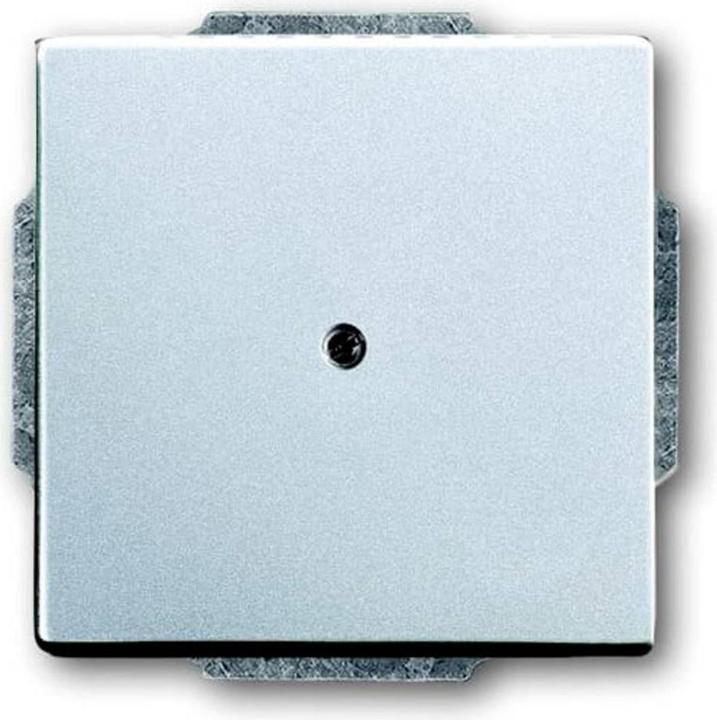 Actual product image Busch-Jaeger Central disk