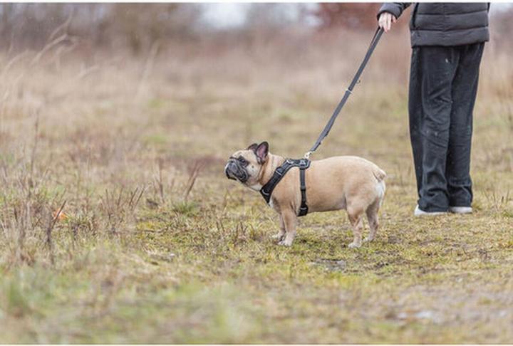 Image du produit Trixie Premium FlexMesh harness, wide fit,M:58–80cm/20mm,black (M, Chien, Promenade)