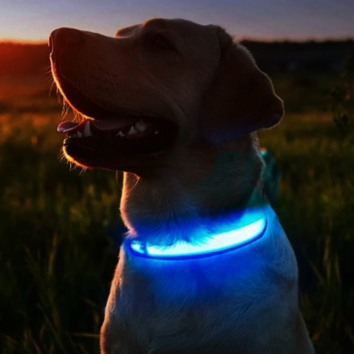 Produktbild Cbx Aufladbares LED-Hundehalsband Grösse XL - 53-57cm (XL, Hund)