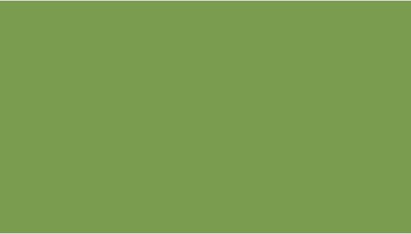 Image du produit Papyrus Signe d'argile A3 130 vert mai (A3, 100 feuilles, 130 g/m²)