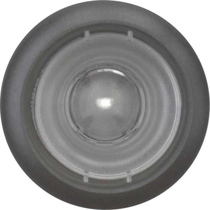 Actual product image Eaton Illuminated push-button, RMQ titanium, flat, 216956
