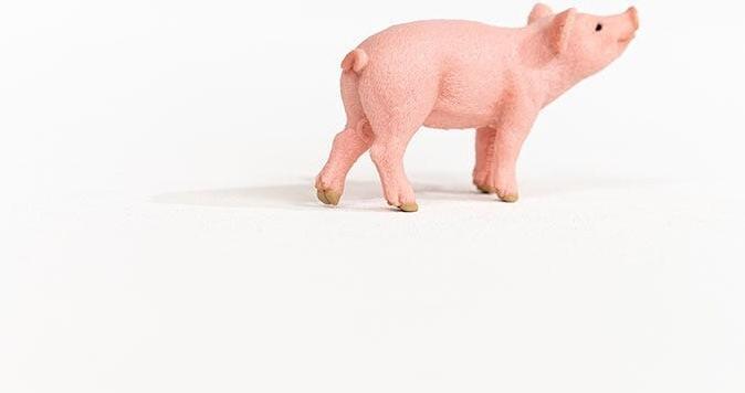 Actual product image Schleich Farm World