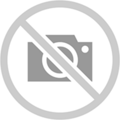 Image du produit HP Lecteur flash USB USB Type-A 3.2 Gen 1 (3.1 Gen 1) Noir (256 Go, USB-A, USB 3.2)