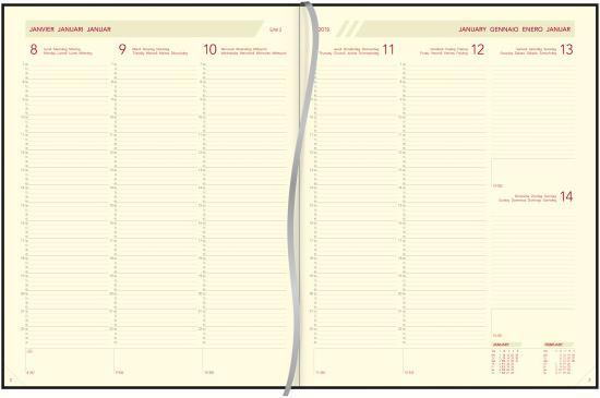 Actual product image Aurora Plan-a-week 1W/2S black 2715Z f/nl/d/e/i/sp 21x27cm 2019 (Special)