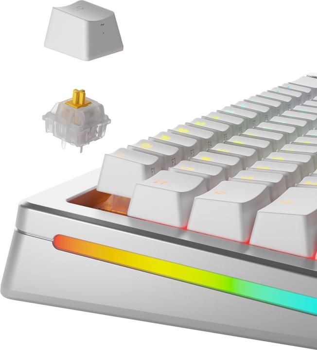 Actual product image Glorious Mechanical Switches (36pcs) - Panda Silent - (Tactile) 50g