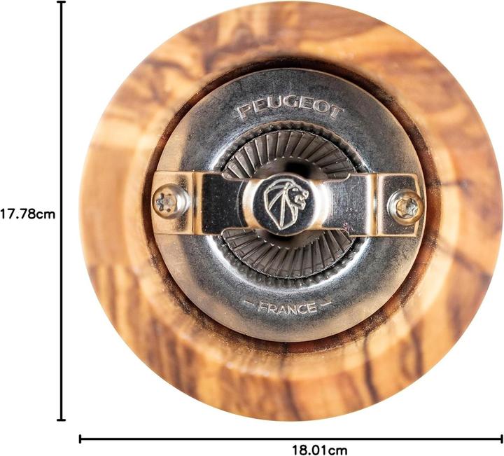Produktbild Peugeot Paris (Salz)