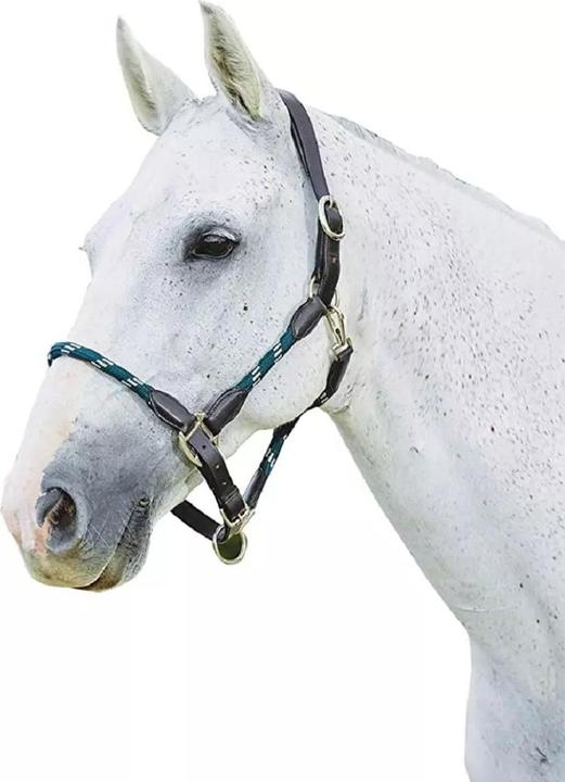 Produktbild Kincade Pferdehalfter geflochten Leder