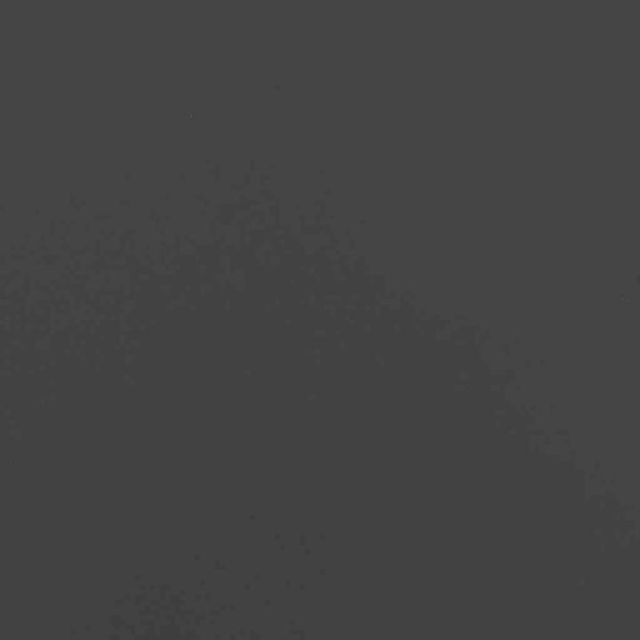 Actual product image vidaXL Rasenkante (103 cm)