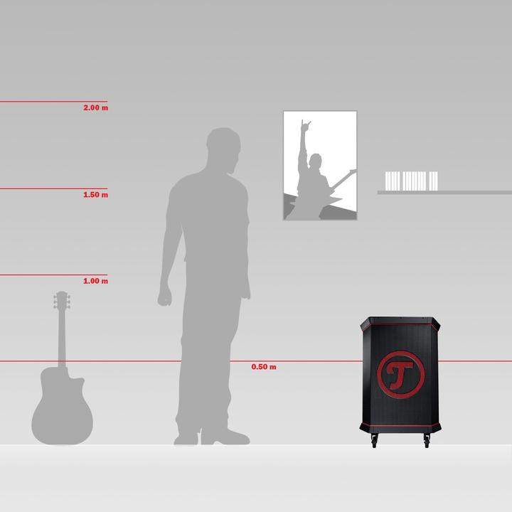 Actual product image Teufel Rockster 2017 (20 h, Rechargeable battery operated, Electrical connection)