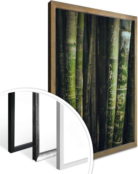 Image du produit Trenddeko Bambou vert (24 x 30 cm)