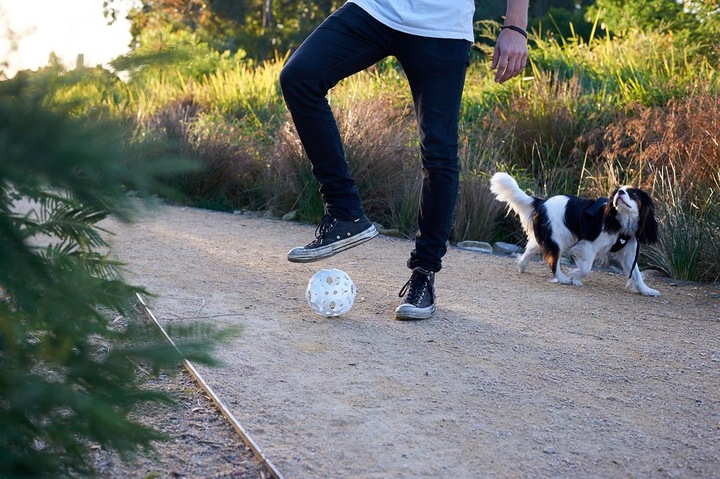 Produktbild Foooty Connect and Kick