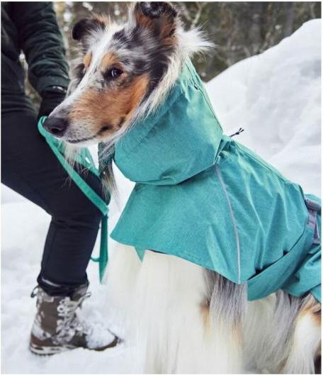Immagine prodotto Hurtta Monsoon V2 Eco verde mackintosh, 30 cm (30, Cappotto impermeabile per cani)