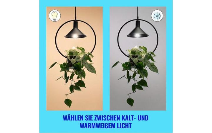 Produktbild WiZ Filament-Lampe (E27, 903 lm, 1 x)