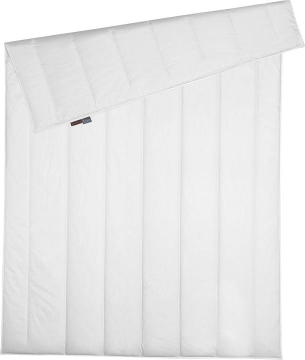 Immagine prodotto Centa-Star Famous (270000 g, 135x200 cm)