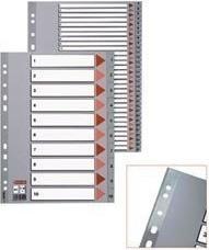 Actual product image Esselte register PP A4 Jan-Dec (GB) gr