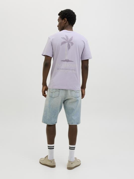 Actual product image Jack & Jones Jjsummer Vibes Tee Ss Crew Neck Ln (XXL)