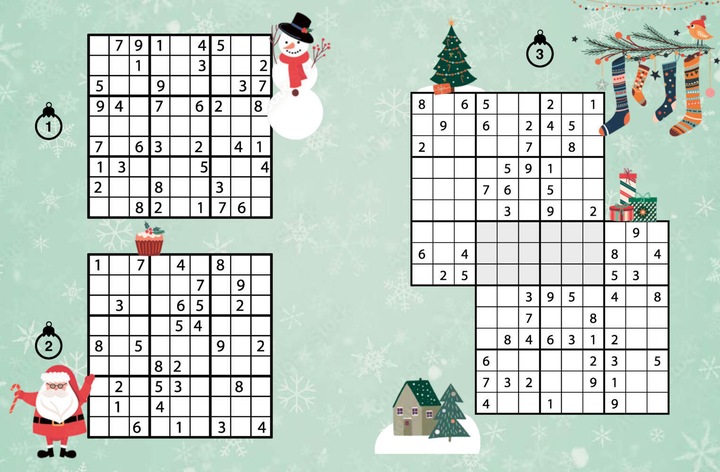 Actual product image Sudoku