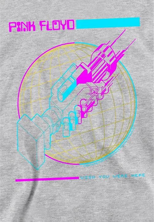 Produktbild Pink Floyd Wish You Were Here Kapuzenpullover Zum Überziehen (128)