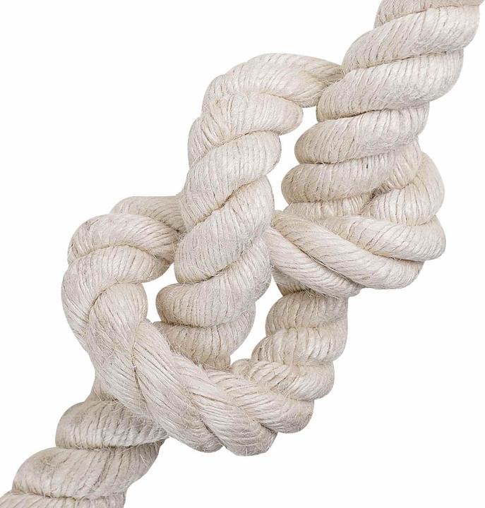 Image du produit vidaXL Natürliches Seil (25 m)