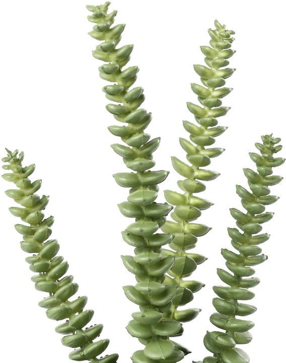 Immagine prodotto EGLO Kunstpflanze 20cm (20 cm)