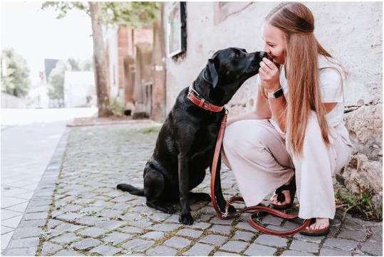 Produktbild Hunter Halsband Canadian Up für Hunde Cognac M (M, Hund, Allgemein)