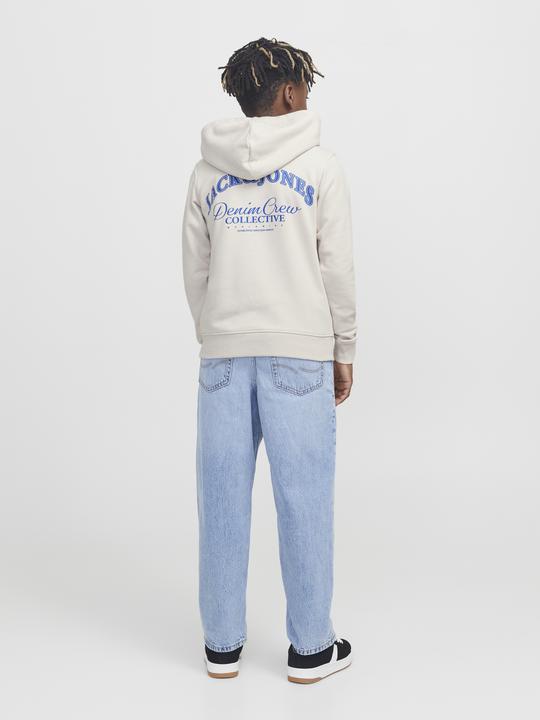 Image du produit Jack & Jones Jjebrandes Backp Relaxed Sweat H Sn Jnr (176)