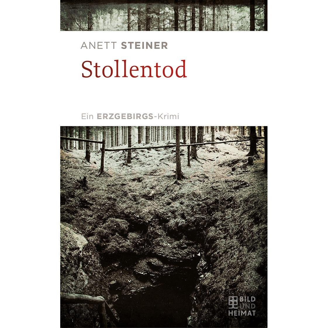 Stollentod, Belletristik von Anett Steiner