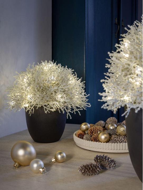 Actual product image STT Calo 27