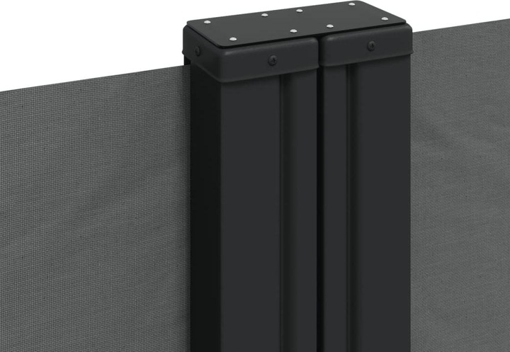Actual product image VidaXL Extendable side awning (10 m)