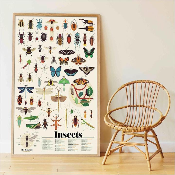 Immagine prodotto Poppik Poster didattico con adesivi Insetti (45 Adesivo)