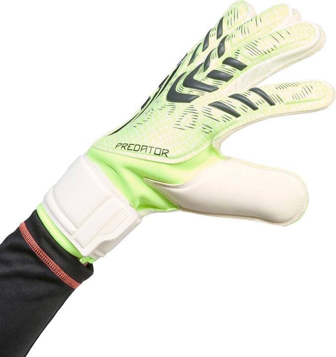 Actual product image Adidas Predator Handschuhe