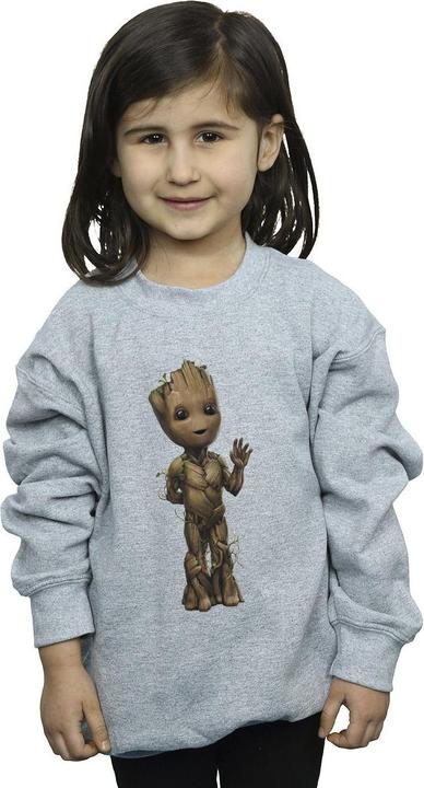 Image du produit - Sweat AM GROOT WAVE POSE - Fille (128)