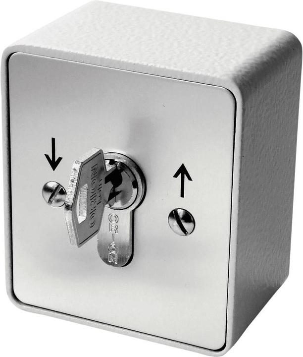 Image du produit Kaiser Nienhaus Commande de porte Bouton-poussoir à clé Ouvert