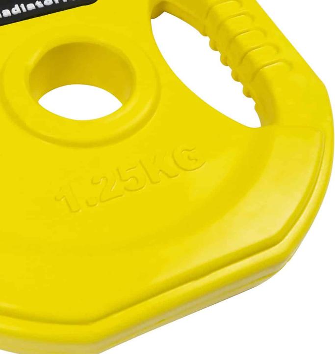 Actual product image Gladiatorfit Weight disc with handles (1 x 1.25 kg)