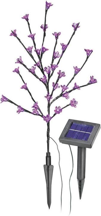 Produktbild Esotec Blütenstrauch (IP44)