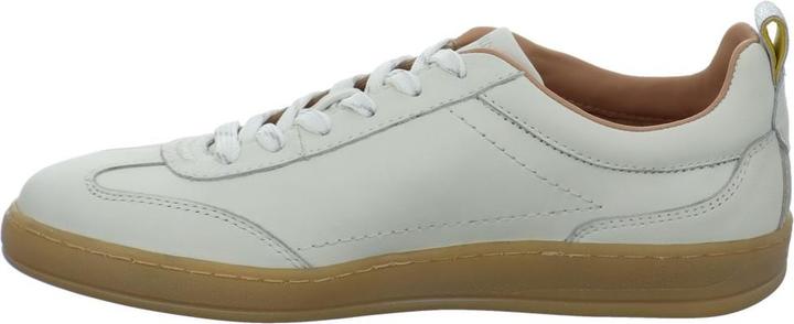 Image du produit Salamander Rodalben (40)